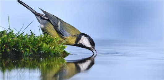 <a style='color:#268bd1;cursor:pointer;' href='/'>移民德國</a>生活,那么你一定要適應(yīng)“飲用水”食物 移民<a style='color:#268bd1;cursor:pointer;' href='/mshh.html'>德國生活</a>,那么你一定要適應(yīng)“飲用水”食物