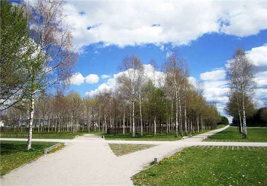 德國市場高技術人才緊缺,政策隨之發(fā)生變化 德國市場高技術人才緊缺,政策隨之發(fā)生變化