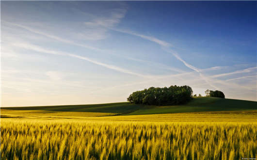 德國福利政策 德國福利政策