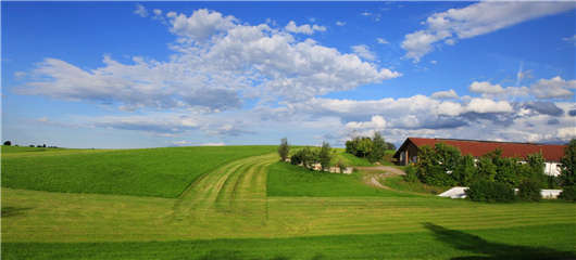 技術領先戰略突出 技術領先戰略突出