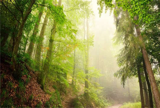 德國(guó)可持續(xù)發(fā)展之土壤保護(hù)篇