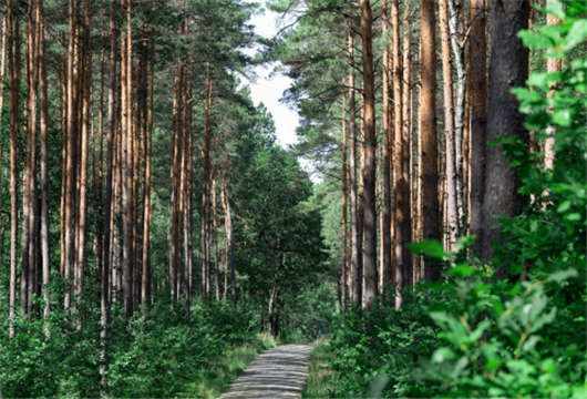 德國就業(yè)市場的十大事實與工作簽費用介紹 德國就業(yè)市場的十大事實與工作簽費用介紹
