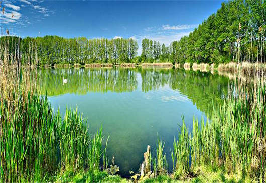 德國森林與經(jīng)濟(jì)之間的關(guān)系(下) 德國森林與經(jīng)濟(jì)之間的關(guān)系(下)