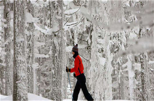 留學德國畢業難，解決這些您就可以成功！