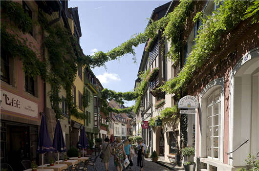 申請(qǐng)德國(guó)技術(shù)移民簽證，高調(diào)定居德國(guó)生活