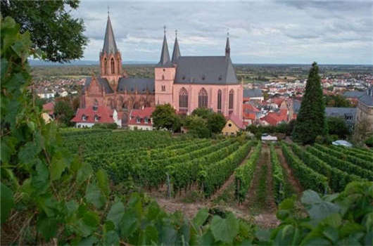 入籍優(yōu)劣對比，您一定要了解一下！