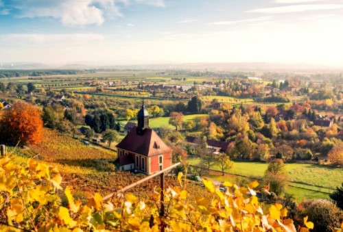 移民有哪些優勢?如何移民? 移民有哪些優勢?如何移民?