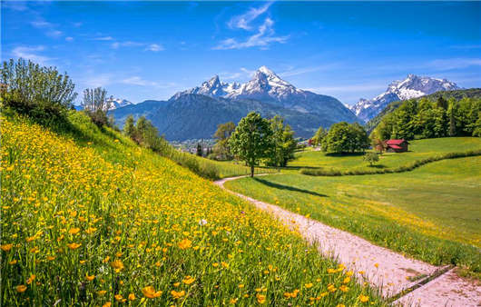 德國教育解讀，備受歡迎的德國學校