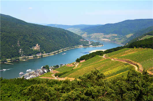 申請德國技術移民，在德國工作好不好？