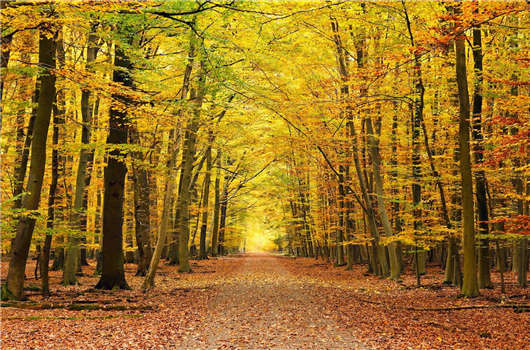 1594391170679557.jpg 22.jpg