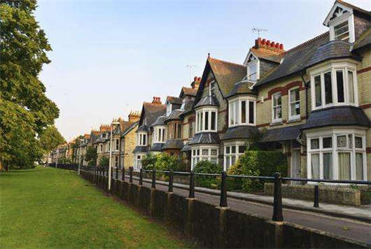 1594605650104584.jpg 1.jpg