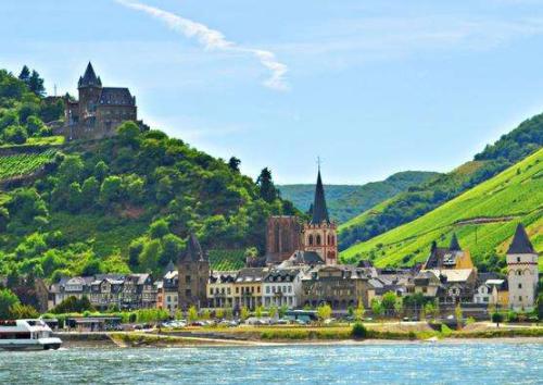 1643960499860291.jpg 1.jpg