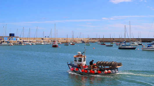 1653984120496328.jpg 1.jpg