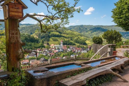 1659164186855428.jpg 1.jpg