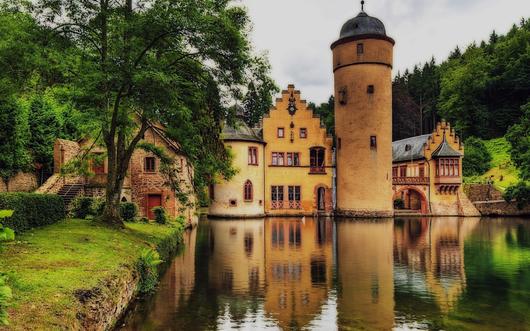 1740128588108990.jpg R-Cd (1).jpg